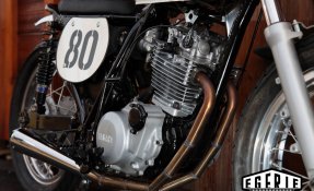 Yamaha XT 600 Z Ténéré 1984 préparée Flattrack